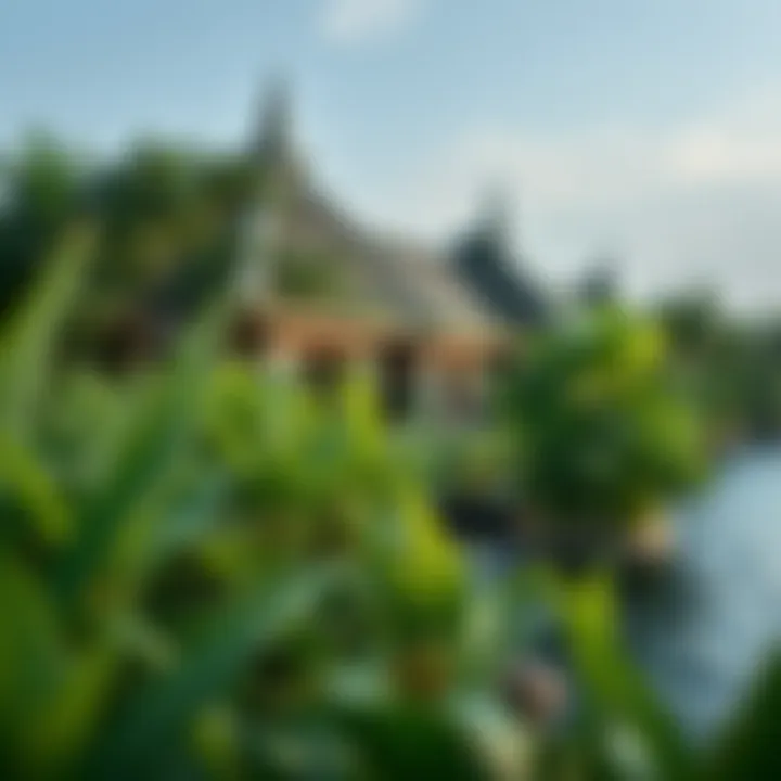 Nature's Embrace at Anantara Lush greenery and nature integrated into the property