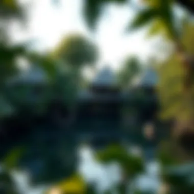 Serenity in the Mangroves Tranquil mangrove surroundings of the resort