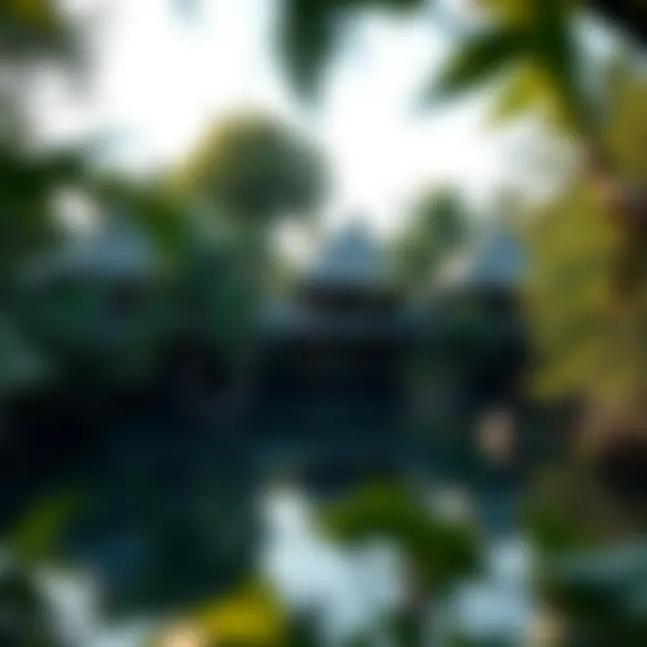 Serenity in the Mangroves Tranquil mangrove surroundings of the resort