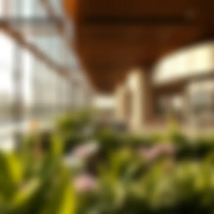 Exclusive Amenities Offered at Damac Westside Luxurious amenities at Damac Westside