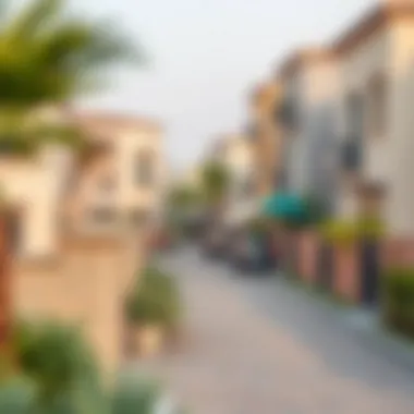 Peaceful Neighborhood Scene in Dubai Tranquil neighborhood in Dubai