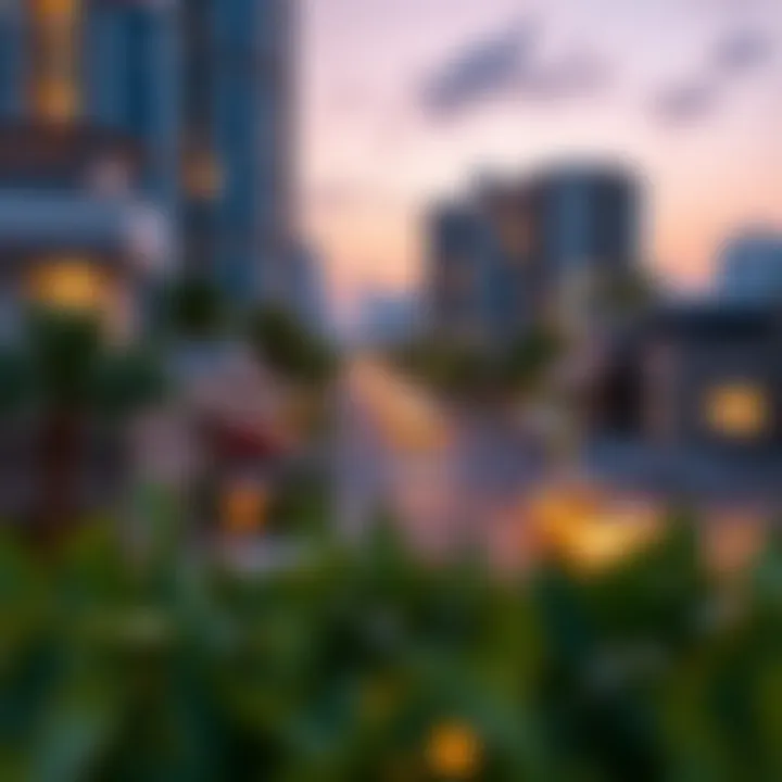 Surrounding neighborhoods that enhance the appeal of Dubai Skyview