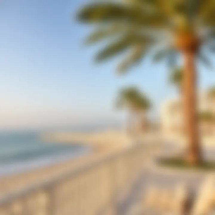 Serene beachfront at Al Marjan Island with palm trees and pristine waters