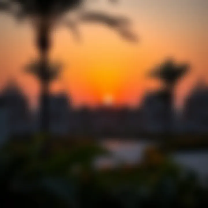 A serene view of Jebel Ali gardens at sunset