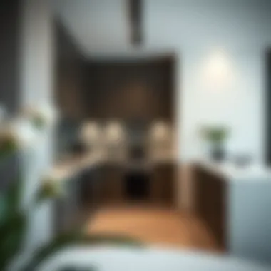 State-of-the-art kitchen in a modern apartment