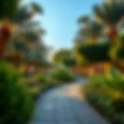 A serene view of Mujarrah Park showcasing lush greenery and tranquil pathways