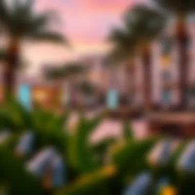 Lifestyle and Amenities at The 8 Palm Vibrant lifestyle scene at The 8 Palm's amenities