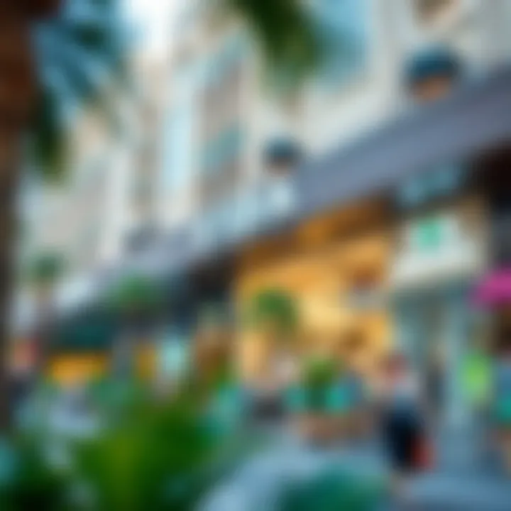 Dynamic Lifestyle Around Vida Dubai Mall Vibrant lifestyle scene surrounding Vida Dubai Mall with cafes and shops